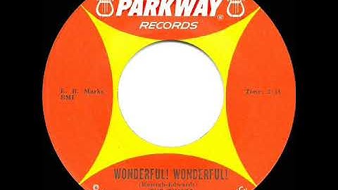 1963 HITS ARCHIVE: Wonderful Wonderful - Tymes