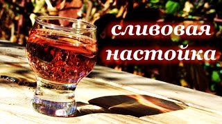 Сливовая настойка