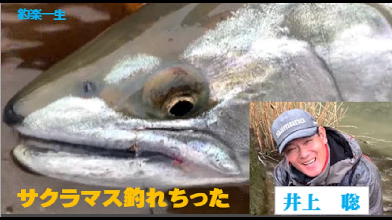 21サクラマス釣れちゃった Youtube