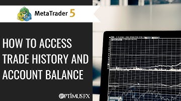 MetaTrader 5 - How to Access Trade History and Account Balance