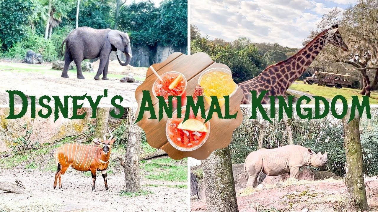 Disney's Animal Kingdom The BEST Safari EVER! Is There A New