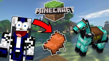 Minecraft 1.17.1 Craftable Horse Armour & Saddle  | Joe