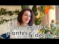 Haul plantes  dco  tour des nouveauts 