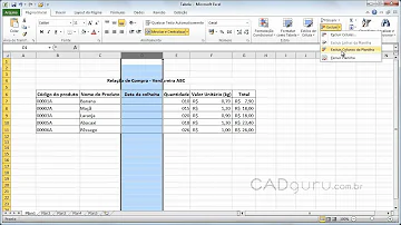 Como alterar o nome de uma planilha no Excel?