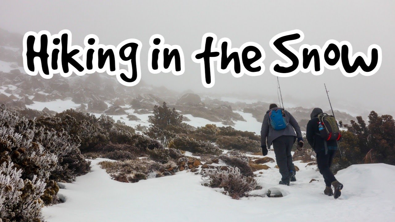 Turned back by the Snow - Mt Field | Tasmania 2019