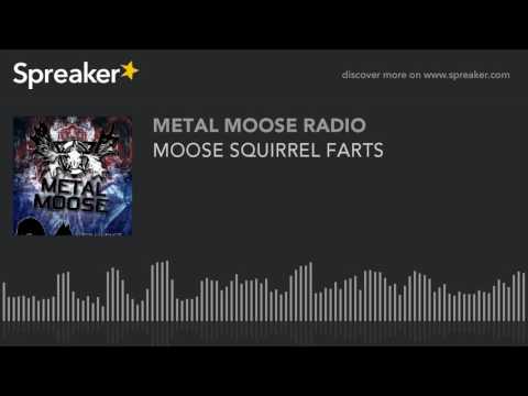 MOOSE SQUIRREL FARTS (made with Spreaker)