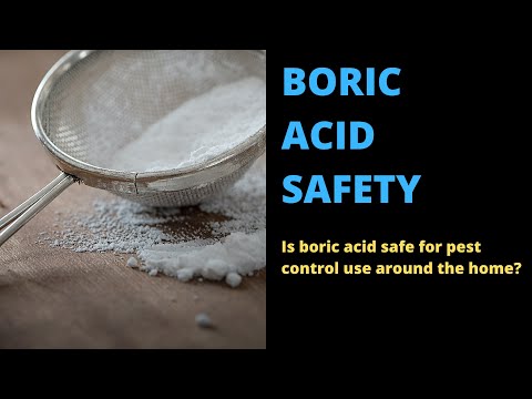 Is Boric Acid Safe For Pest Control Use Around The Home?