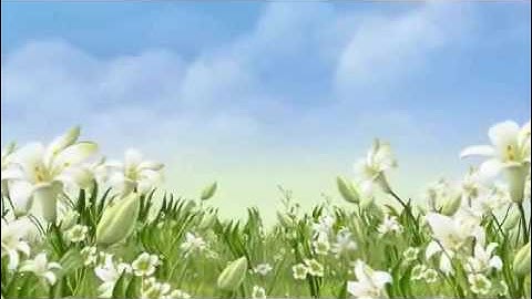 سورة يس - تلاوة خاشعة للقارئ أحمد علي طه