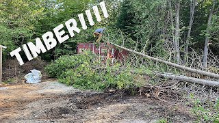 Knocking Over Trees