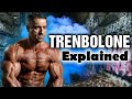 The Holy Grail of Bodybuilding? Trenbolone Explained!!! Why I won’t use it ever again!!!