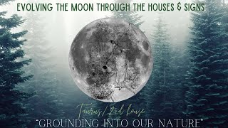 Evolving the Moon Through the Houses -- Taurus/2nd House: Grounding Into Our Nature