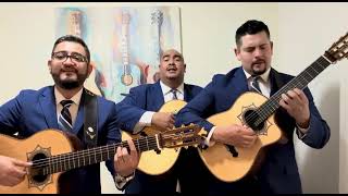 Estoy Perdido Tres en Punto Trio Los Tres ASES