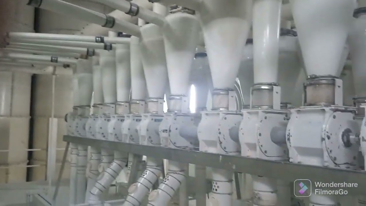 Inside the leading flour mill in kenya