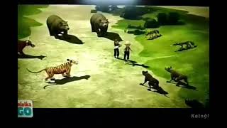 Minika Go Keloğlan Video