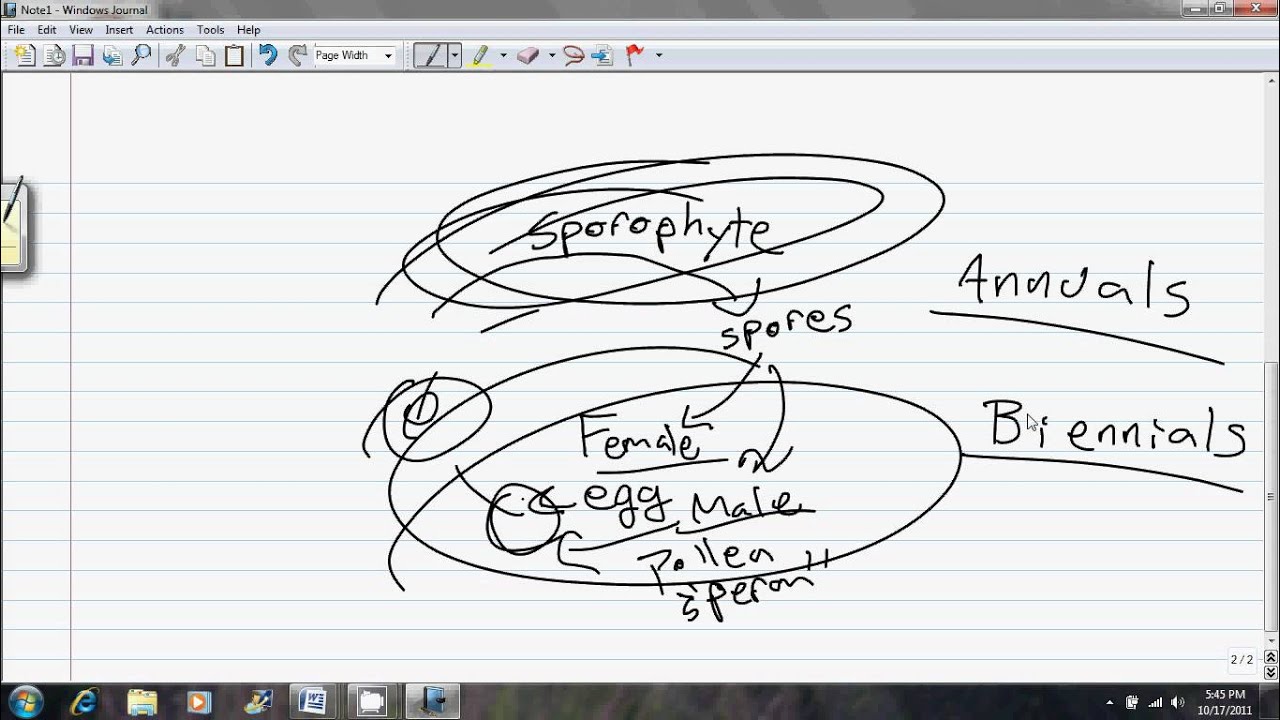Chapter 3 Lesson 4 Plant Reproduction YouTube