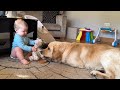 Adorable Baby Boy Shares His Toys With Golden Retriever Puppy!! (Cutest Ever!!)