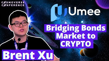 Brent Xu - Founder of UMEE the AAVE of CØSMOS!