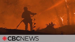 Wildfires, record heat strain California's electrical grid