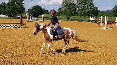 Phoebe 8/19/2020 morningside debry