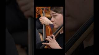 A Beautiful Melody Carried By The Strings