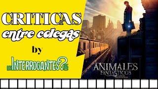 Animales Fantásticos y Donde Encontrarlos | Critica Película Entre Colegas