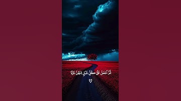 تلاوة خاشعة تريح القلب