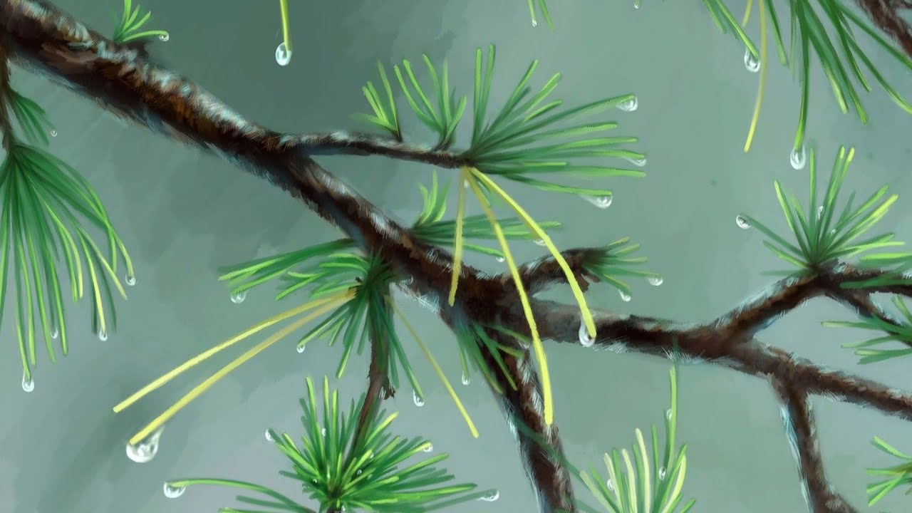 Sleep Sounds, Light Rain and Drips, Distant Thunder - YouTube