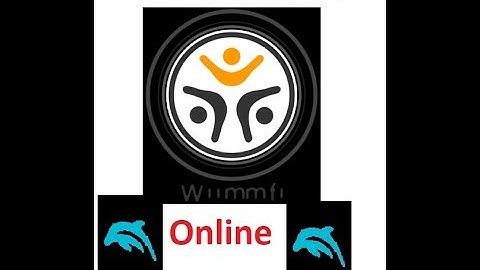 How To Install And Play Mario Kart Online In Dolphin Using Wiimmfi