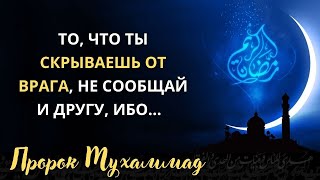 Избранные Цитаты И Высказывания Пророка Мухаммада.