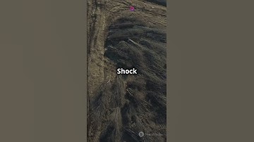 How Many Trees Would Save the Planet  🌳🔥#ClimateChange #Curiosity #ScienceFacts #EcoFriendly