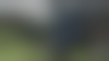 The Last of Us II and it