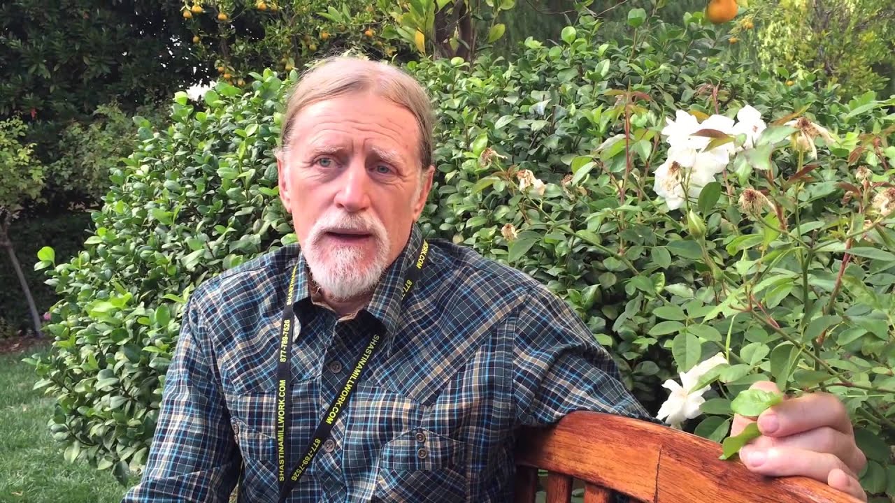 Beekeeping honeybee practices hive balanced paperback