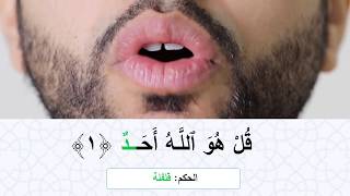 تعليم التجويد | سورة الإخلاص