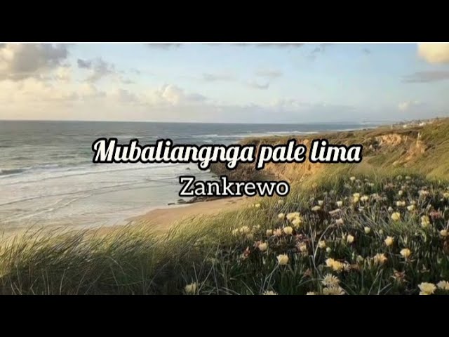 lirik lagu Bugis mubaliangnga pale lima || cipt: zankrewo #liriklagu #bugis class=