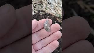 Кошель средневекового серебра #1. #коп #металлоискатель #metaldetecting #metaldetector #deus