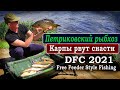 Петриковский рыбхоз. Карпы рвут снасти. Турнир DFC FFSF-2021