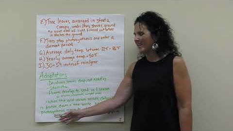 Temperate Deciduous Forest Biome