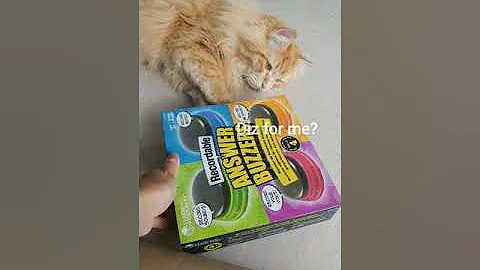 Video 350351: siberian cat talks, cat learning