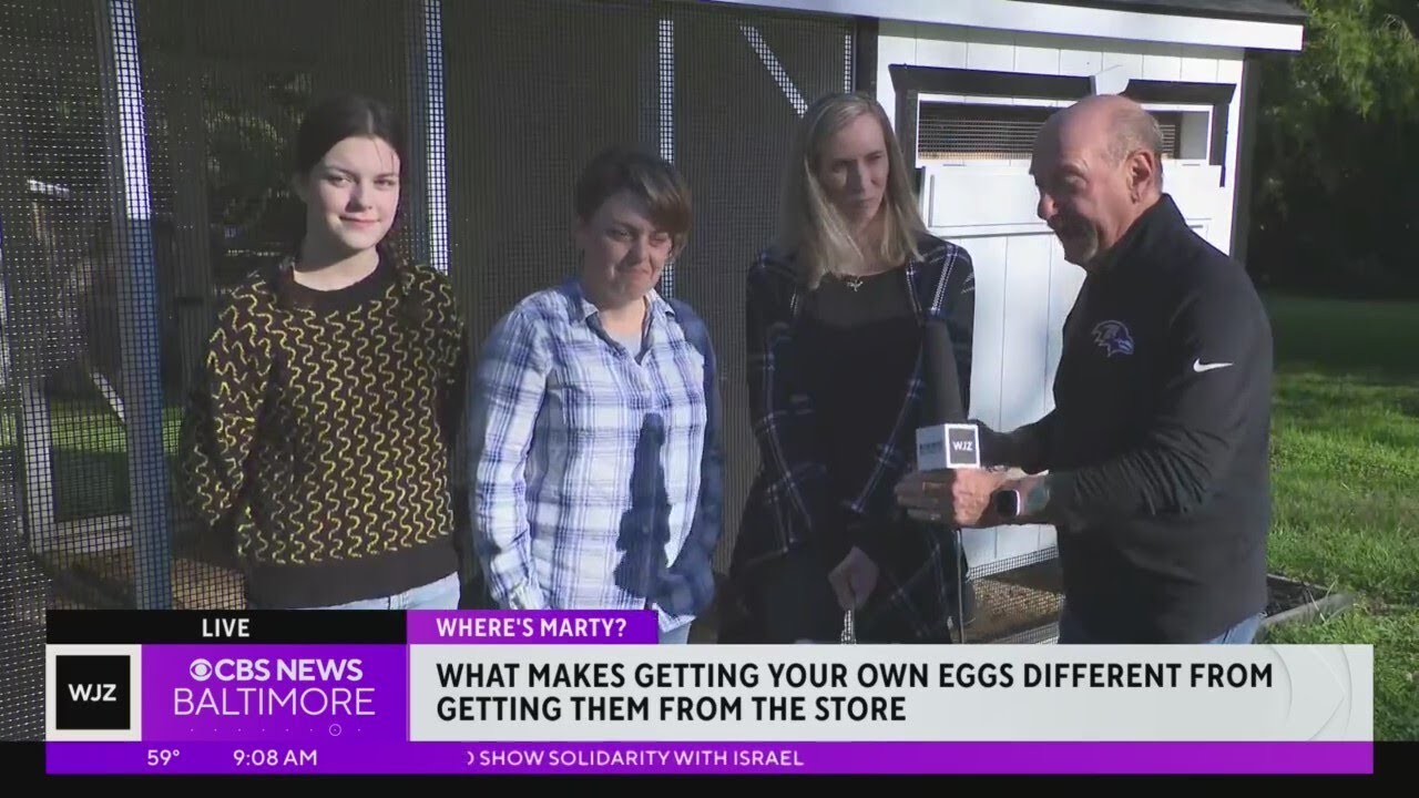 How To Wash Home Grown Eggs