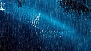 Relax with Best Rain Sounds for Sleep | Heavy Rainstorm and Distant Thunder on Garden Roof
