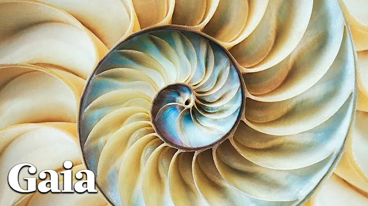 The Universal Language of Mathematics and Music