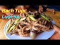 Nghề Lội Bãi Lượm Bạch Tuộc Rất Dễ Kiếm Ăn | Săn Bắt Cần Giờ |hunting octopus