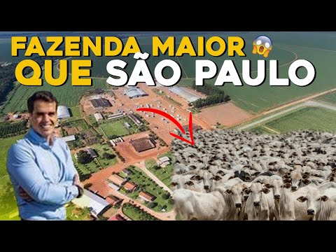 Essa é a FAZENDA RONCADOR - Uma das maiores fazendas do BRASIL! 150 mil hectares!