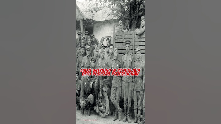 Augustów Forest - A silent witness to the crime #worldwarii #history #science