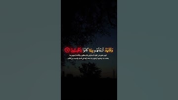المنشاوي سوره يس 🎧🖤