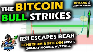 The BULL STRIKES the BITCOIN PRICE CHART, Altcoin Market Takes a Surge, RSI GOES METEORIC