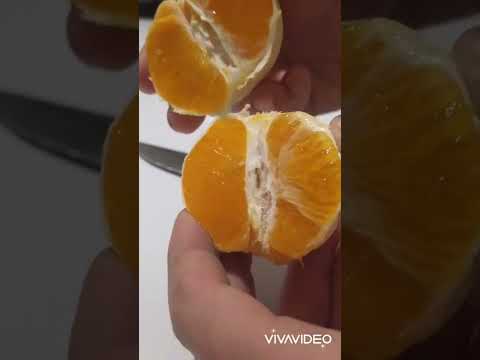 🍊 portakal doğrama