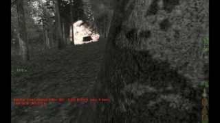 Unexpected Encounter With Inations While Weapon Testing Rmod