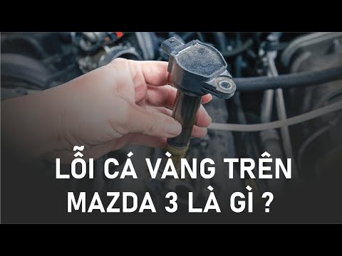 Video Lỗi cá vàng trên Mazda 3 là gì ? Nguyên nhân gây nên... - youtube