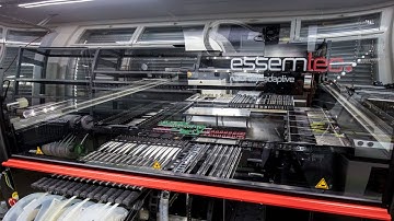Essemtec Application - Puma and Fox on the hunt